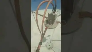 Dish Setting