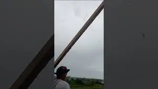 proses membangun rumah walet di ikuti ratusan walet bermain ,arahan bang liandi gwm