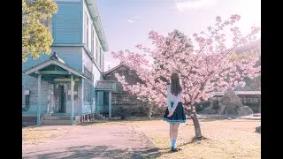 "SAKURA NO AME" ("Rain of Cherry Blossoms") - "桜 の 雨" (English and Romaji Subtitled)