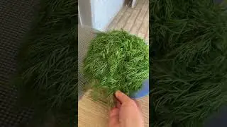 Приятные хлопоты 😉👍