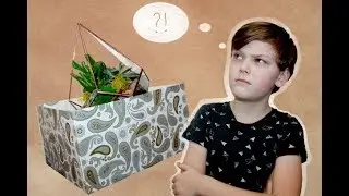 Флорариум - что это такое ?!