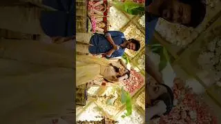 Rashmika & Vijay sir # love #shorts #enrty #viralvideo #shortsvideo #vijaythalapathy #rashmikamandan