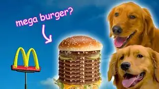 My Dogs Try the Entire McDonald’s Menu! 🍔