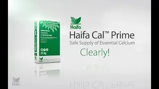 Haifa Cal™ Prime - Calcium nitrate for soilless crops