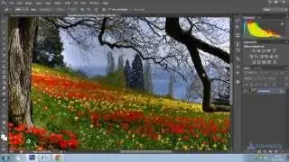 Photoshop Tutorial : Using Match Color in Photoshop CS6