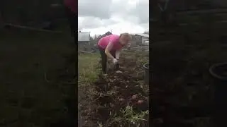 Йога в деревне