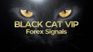 Заработок на автомате с BLACK CAT. Инвестиции на валютном рынке. Что было в марте