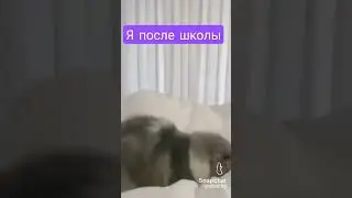 типичные ученики