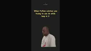 Hey, what are you doing | Do while loop in Python Meme | Laughs | At A Glance! 