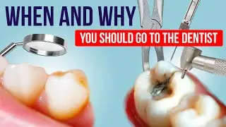When and why you should go to the dentist. Dental check up. Dental hygiene