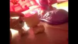 Кортни спешит на помощь "О нет золотая роза...О нет".