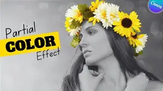 Make Your Photos LOOK BETTER With Canva's Partial Color Photos Effect