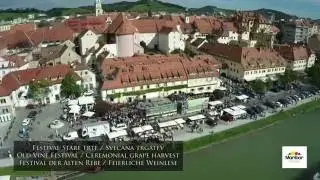 Old Vine Festival in Maribor - Festival of the Oldest Vine in the World
