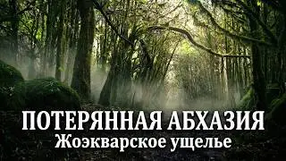 Lost Abkhazia.  7 - Joekvar gorge. Shaggy Forest