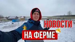 ЧП НА ФЕРМЕ ! БЕЗ ПРОИСШЕСТВИЙ НИКАК / Подарок для нашей Фермы 👨‍🌾 Наше птичье царство 🐥