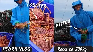 Lobster bites crew- our final day shot at Pedra Lobster fishing.
