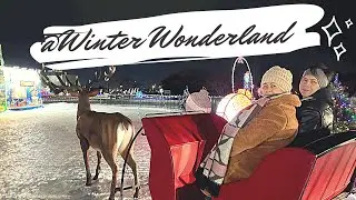 Winter Wonderland in MB | CHRISTmas ‘21