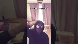 #дипинс