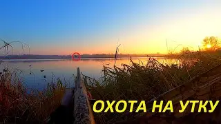 Охота ну утку. Первая охота с сыном 2021. Розыгрыш ножа от 