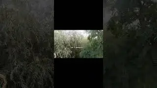 заброшенная вышка
