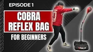 Ep 1 - Cobra Reflex Bag Training for beginners