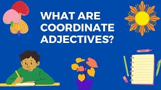 What are coordinate adjectives