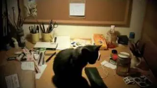 carl & eva kittyporn