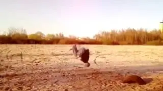 Kozitskiy Pavel/SOLO Video/B.A.N.D/Мой май