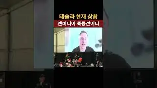 테슬라 현재 상황 엔비디아 폭등전이다