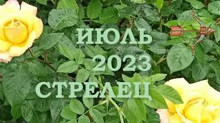 СТРЕЛЕЦ | Послания Вселенной на ИЮЛЬ 2023 года | ЖЕЛАНИЕ | ТАРО расклад