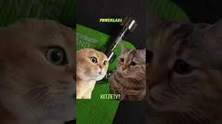 А вы успели похудеть к лету?