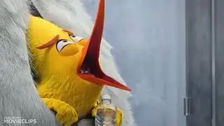 This Is My Kingdom Come! Angry Birds Peeing Meme
