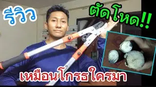 กรรไกรตัดกิ้งไม้ ปรับความยาวได้100cm. (รีวิว)