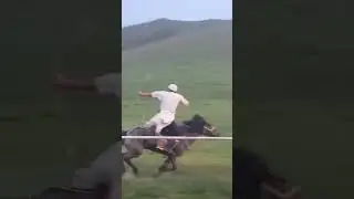 horseback archery