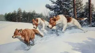 Охота с гончими . Первые шаги молодых выжлецов