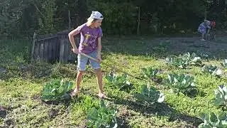 #Работаем