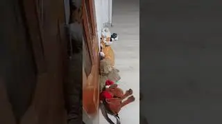 5 ночей с бродягами