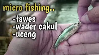 micro fishing wader, uceng, wader pari