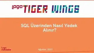 Logo Tiger Wings SQL Server Üzerinden Yedekleme Nasıl Yapılır.
