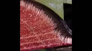 Вот как  производят спички   