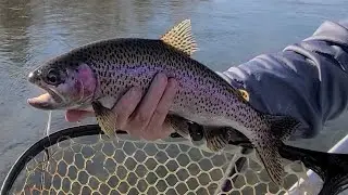 Yakima River Fly Fishing Report-March 15th, 2024-Worley Bugger Fly Co
