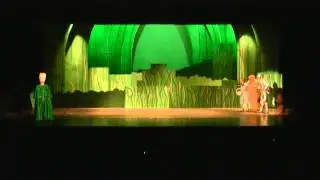 Wizard of OZ 2015