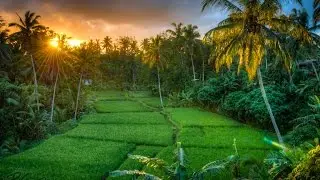 FREE COPYRIGHT MUSIC #2