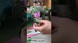 Мои познания в ботанике: а это шафран или крокус?! 😳