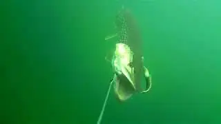 First pike attack wasn't so good, but the second one produce a great strike
