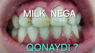 MILKINGIZNI DAVOLATING !  MOSKVA  STOM SHAVKAT  +79636579707  WHATSAPP TELEGRAMM