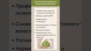 Какая польза от тыквенных семечек для здоровья? #shortsvideo #health #healthylifestyle