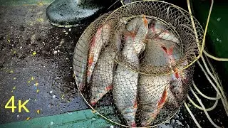 Great boat fishing! 2020 Don River fishing with spinning rod.