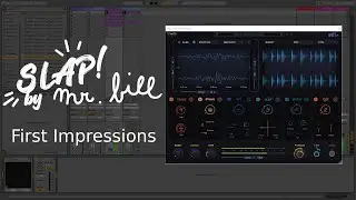 Daily Decibel 212 - Slap by Mr. Bill - First Impressions