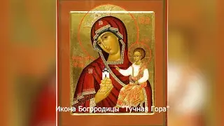 Икона Богородицы 